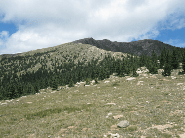 Screen Shot 2020-02-01 at 11.01.01 AM